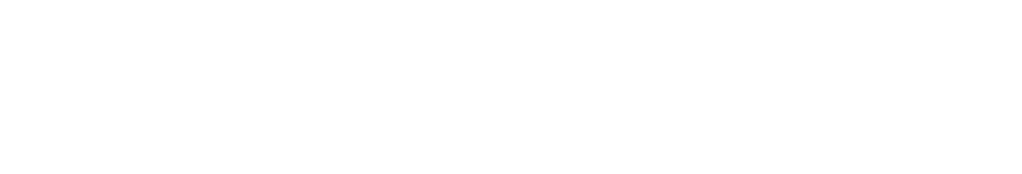 AARP Foundation Logo